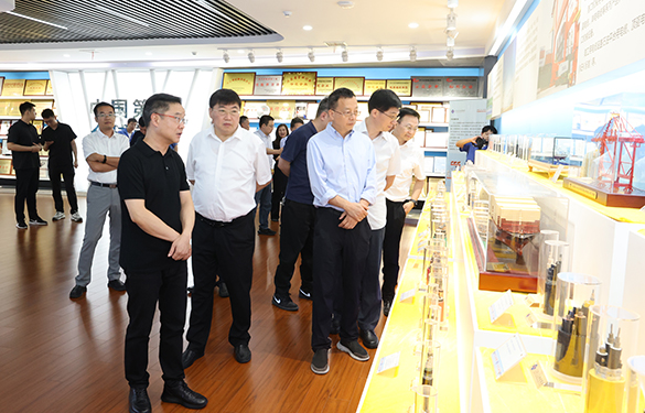 长三角信息化专题组一行来恒峰g22电缆调研-恒峰g22——恒峰g22电缆 恒峰g22品质